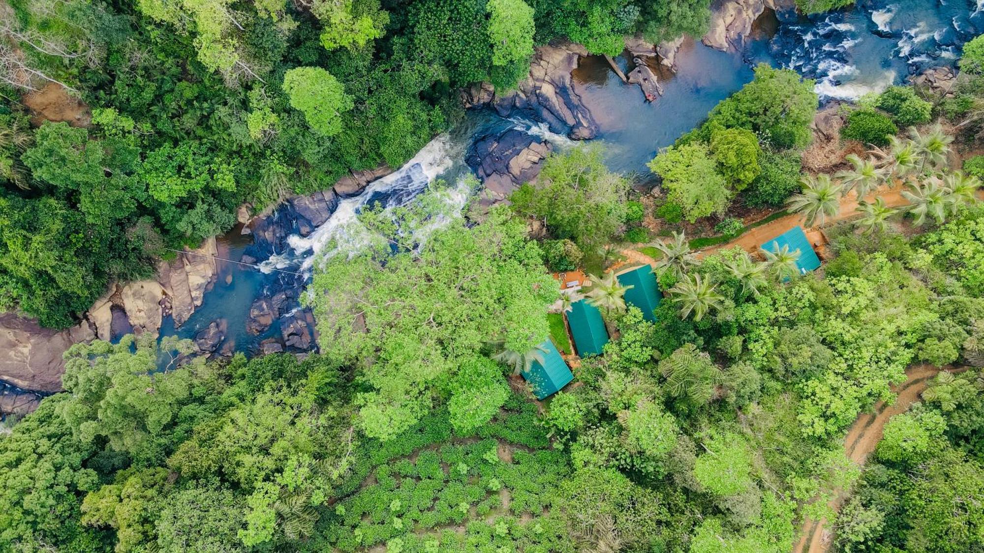 The Rainforest Hideaway Deniyaya Kültér fotó