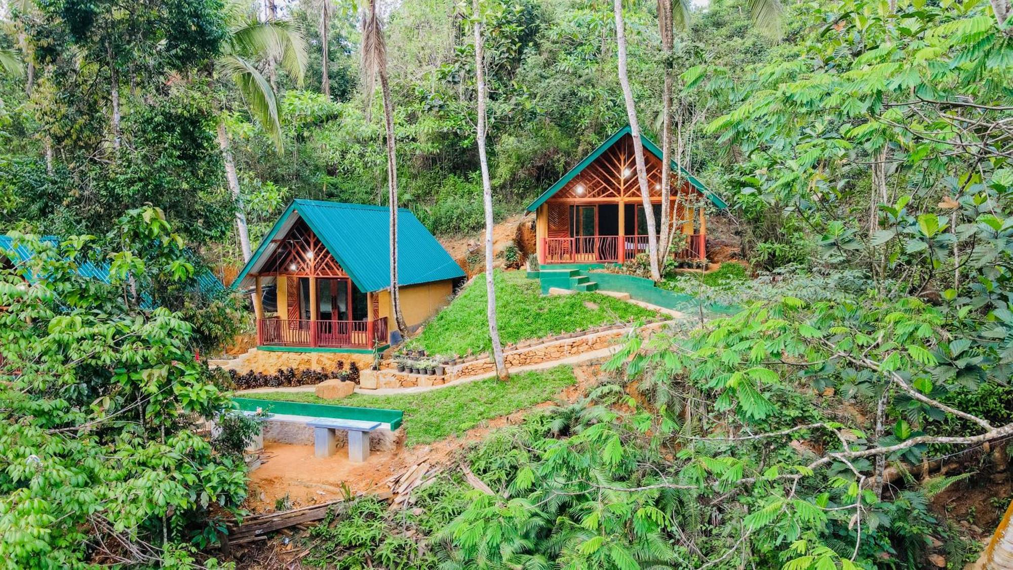 The Rainforest Hideaway Deniyaya Kültér fotó