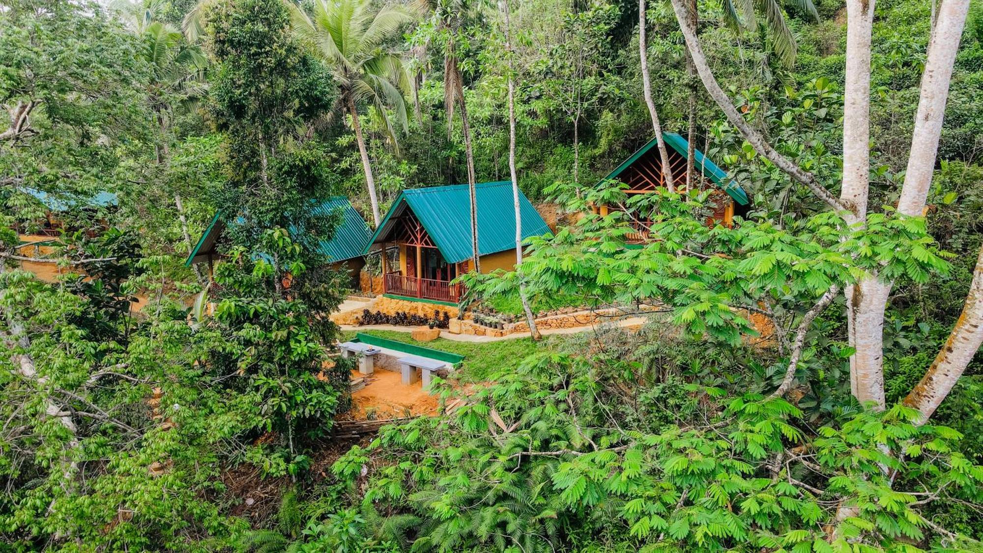The Rainforest Hideaway Deniyaya Kültér fotó
