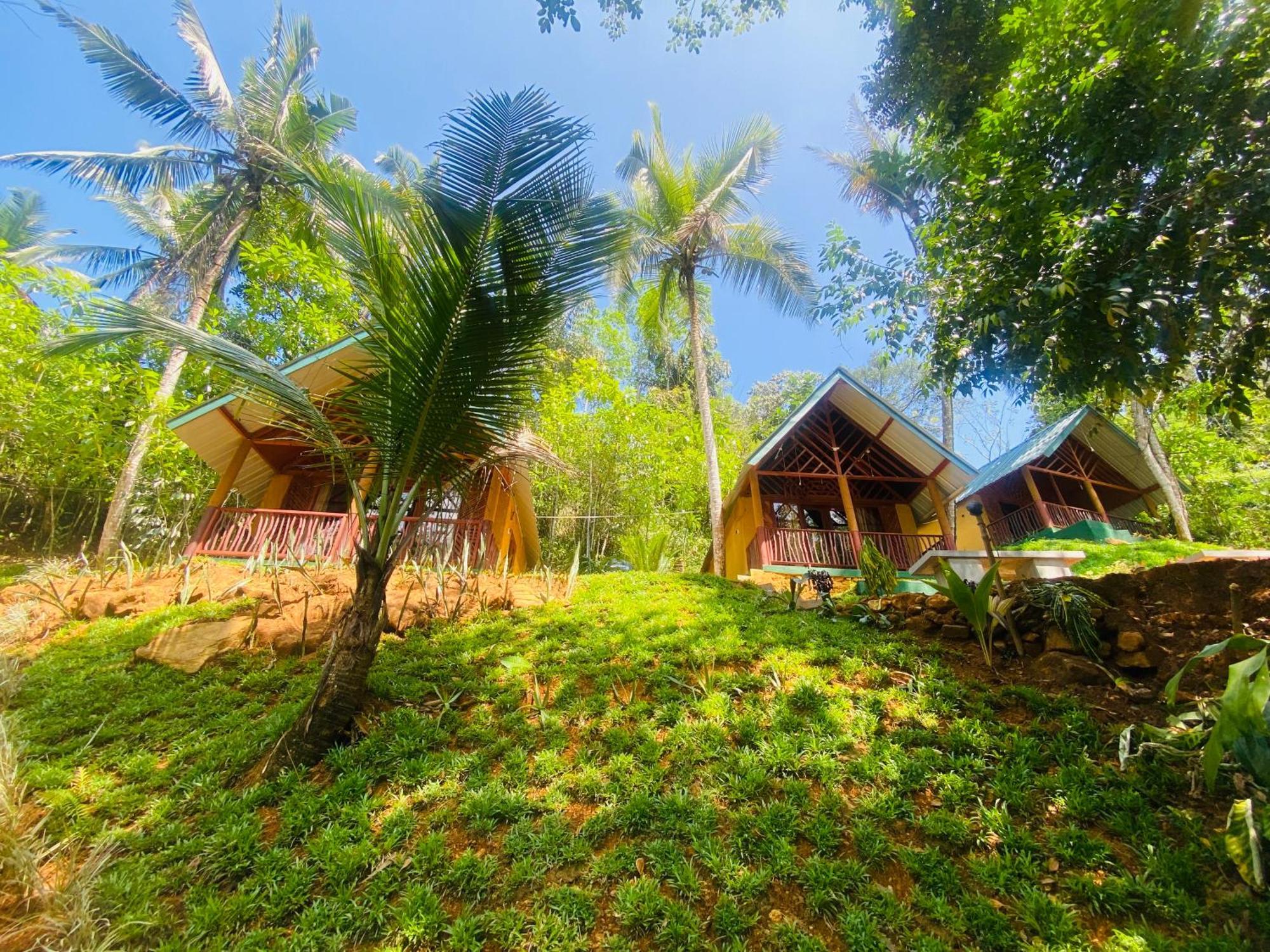 The Rainforest Hideaway Deniyaya Kültér fotó