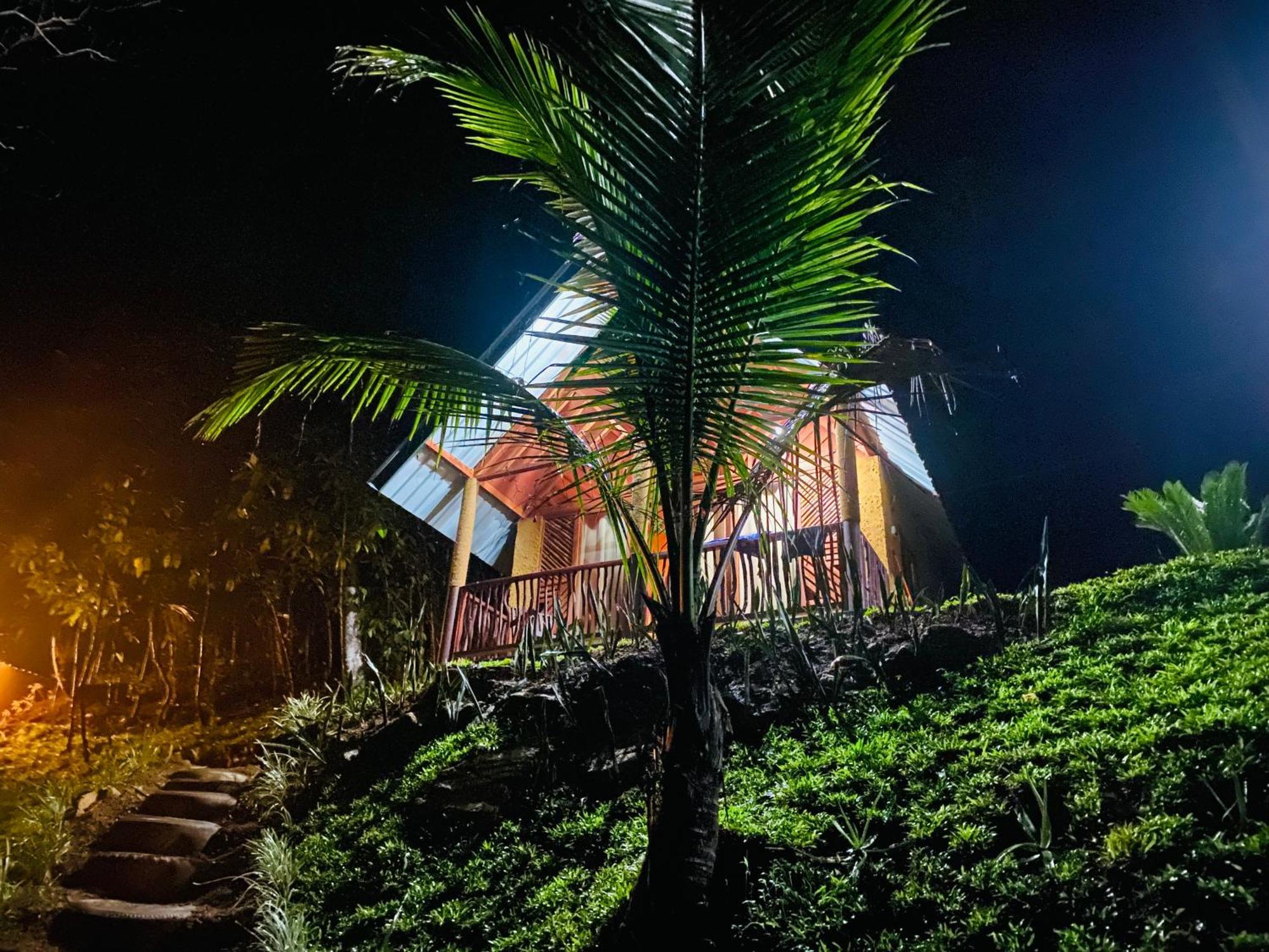 The Rainforest Hideaway Deniyaya Kültér fotó