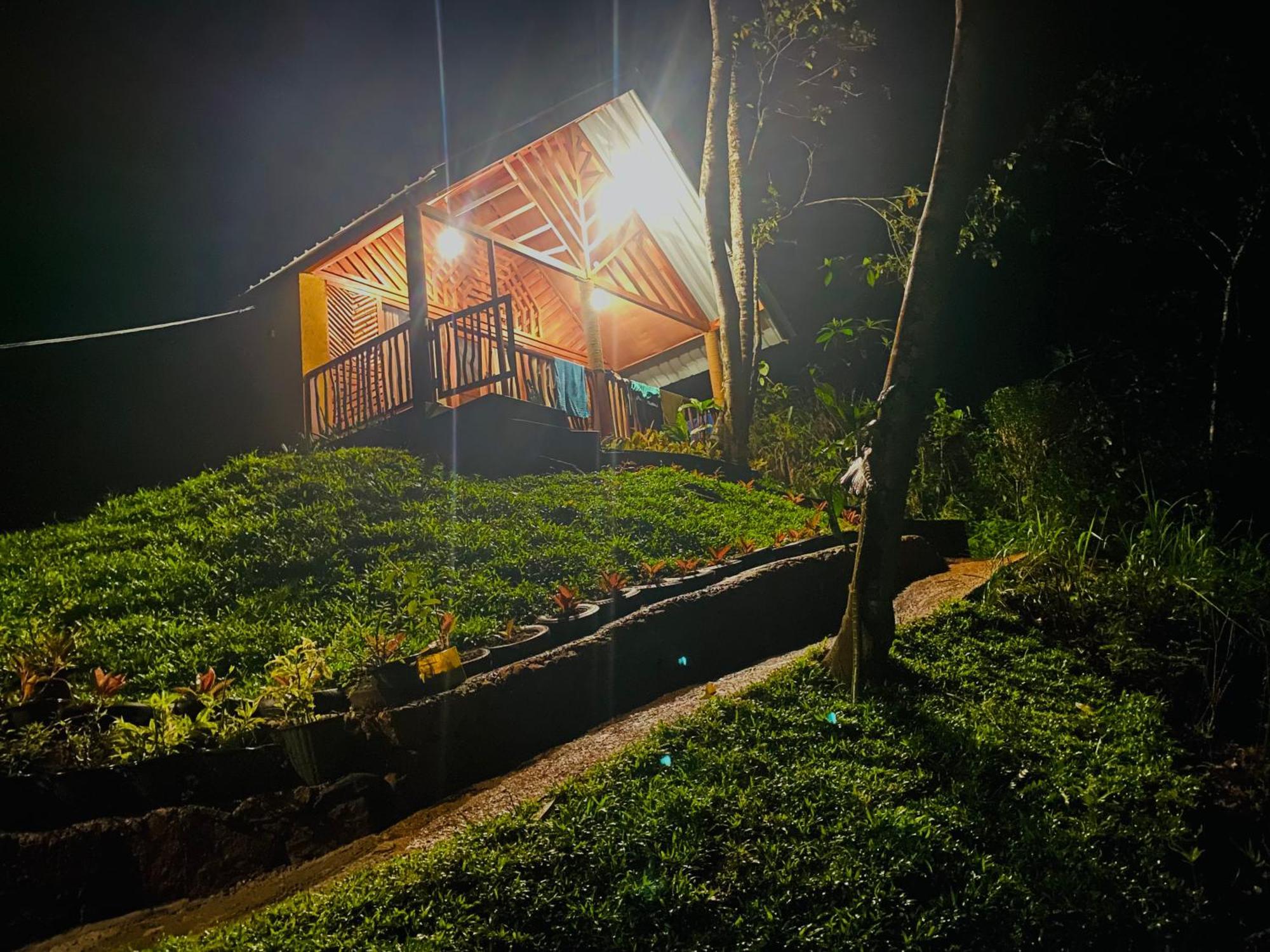 The Rainforest Hideaway Deniyaya Kültér fotó