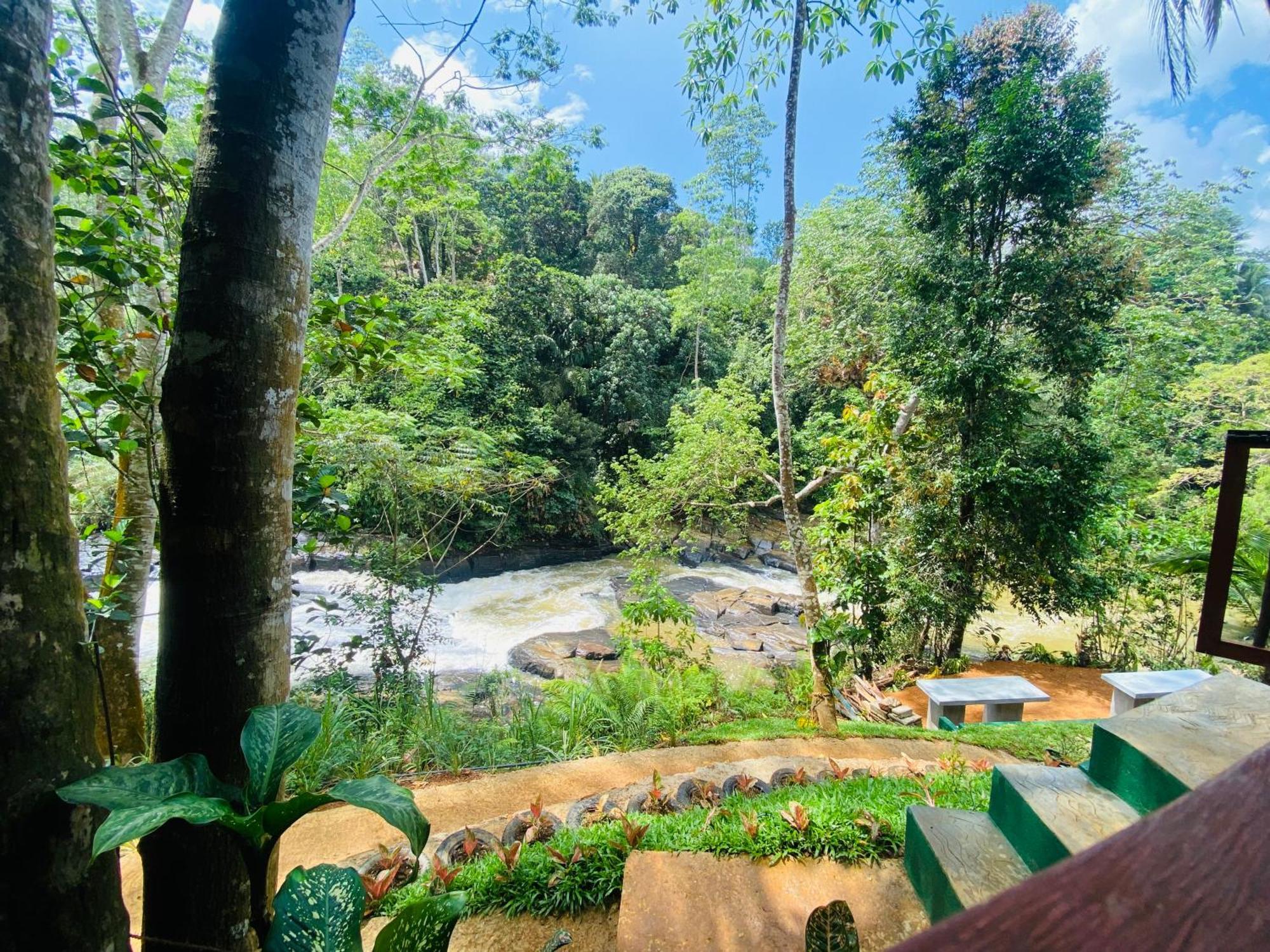 The Rainforest Hideaway Deniyaya Kültér fotó