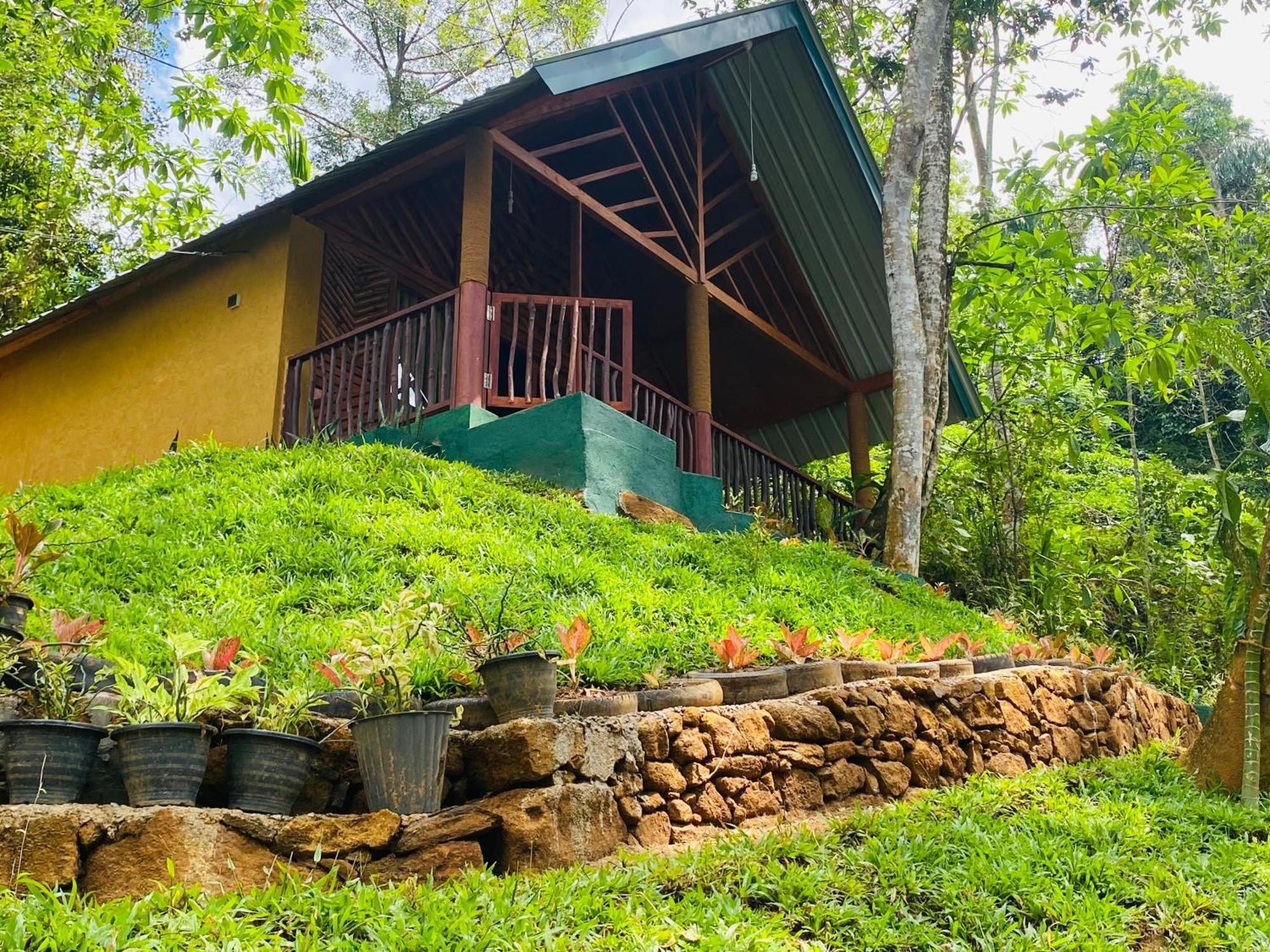 The Rainforest Hideaway Deniyaya Kültér fotó