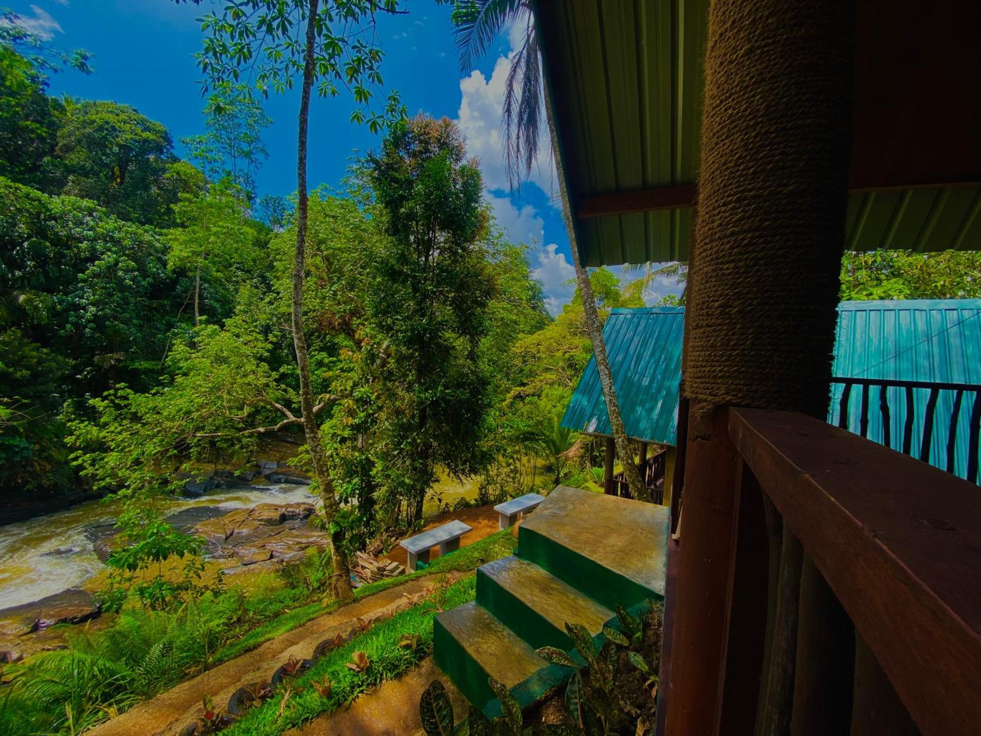 The Rainforest Hideaway Deniyaya Kültér fotó