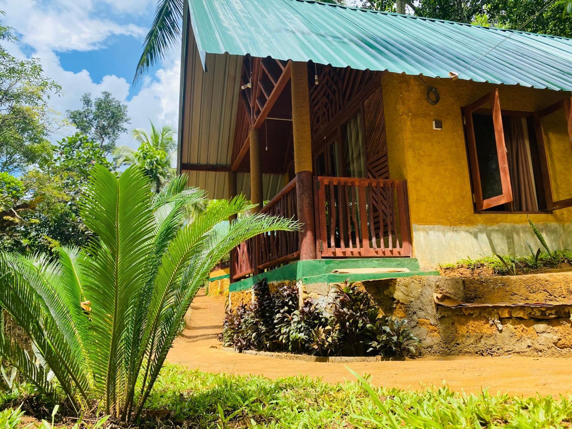 The Rainforest Hideaway Deniyaya Kültér fotó