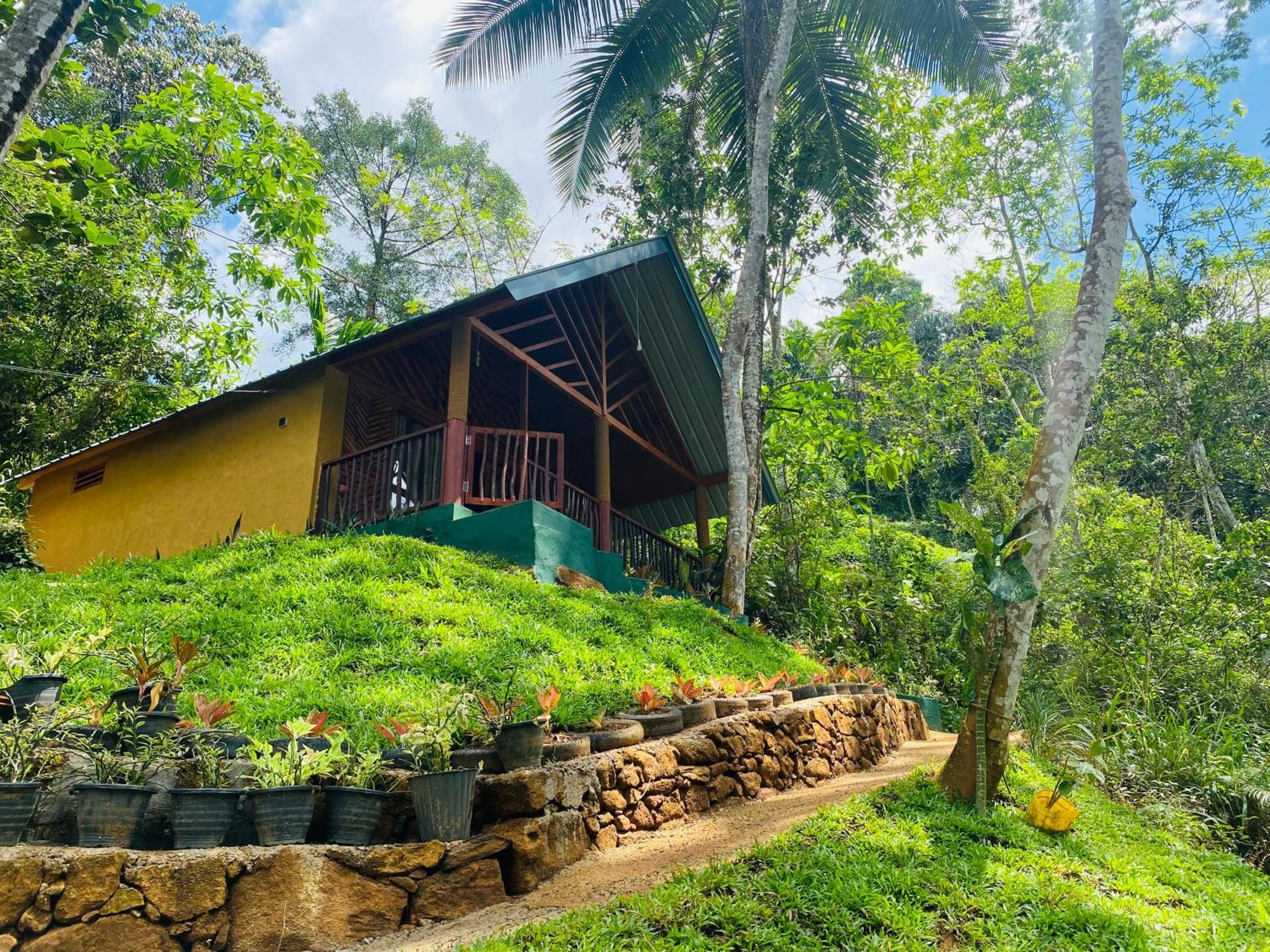 The Rainforest Hideaway Deniyaya Kültér fotó